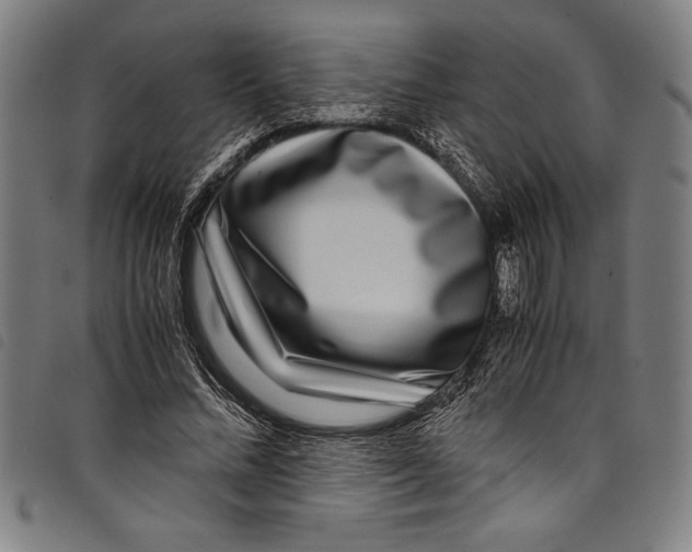 X0000097760684200804041126