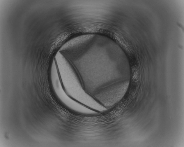 X0000097760685200804041126