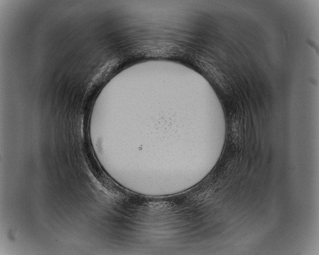 X0000097760686200804041126