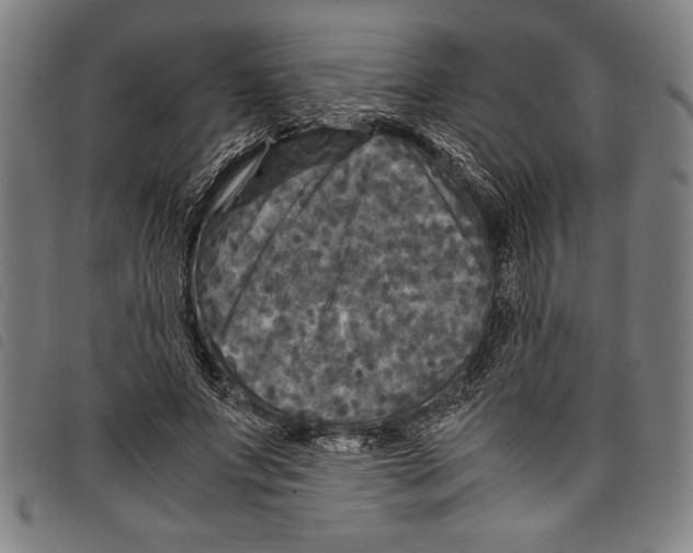 X0000097760687200804041126