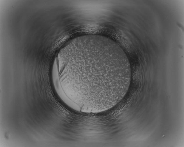 X0000097760689200804041126