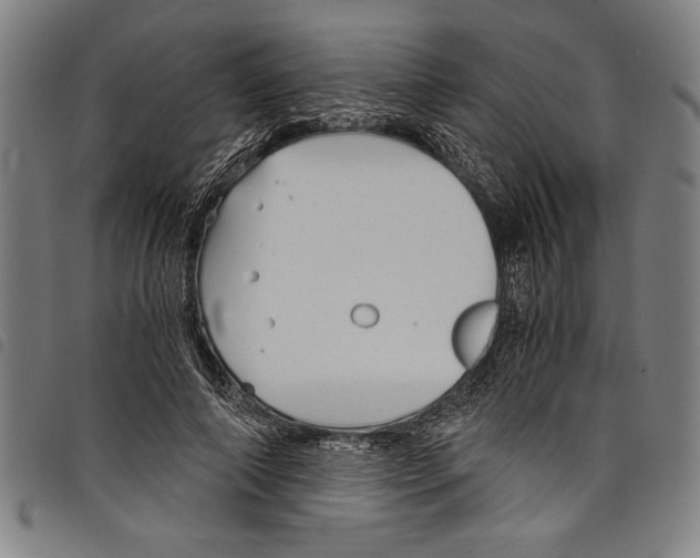 X0000097760690200804041126