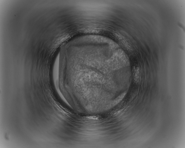 X0000097760692200804041126