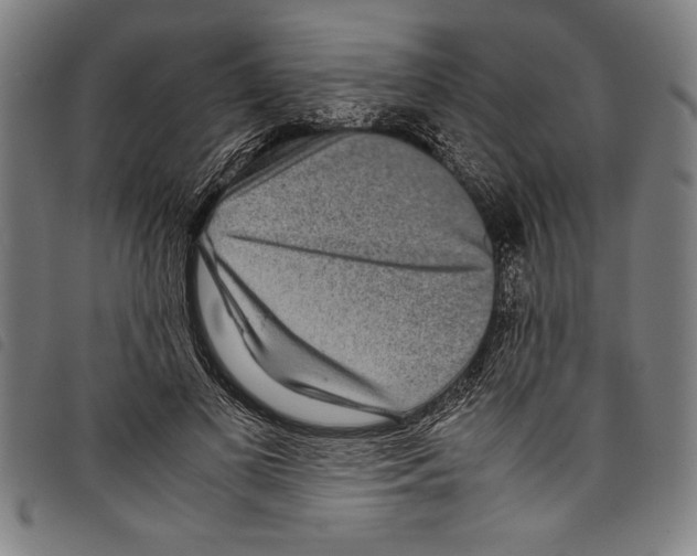 X0000097760693200804041126