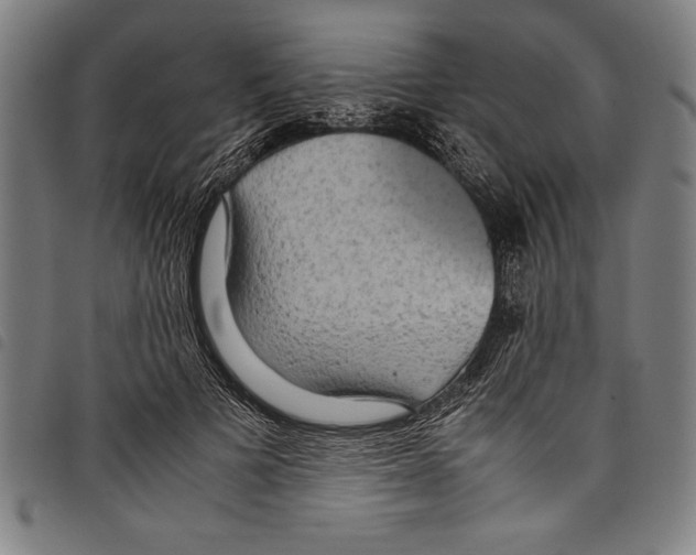 X0000097760697200804041126