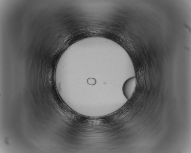 X0000097760698200804041126