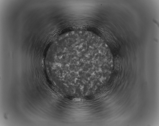 X0000097760699200804041126