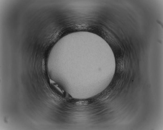 X0000097760700200804041126