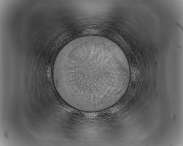 X0000097760701200804041126