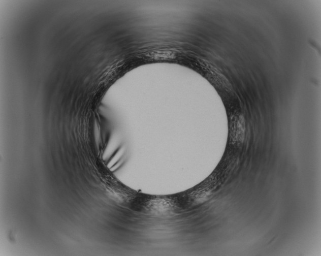 X0000097760704200804041126