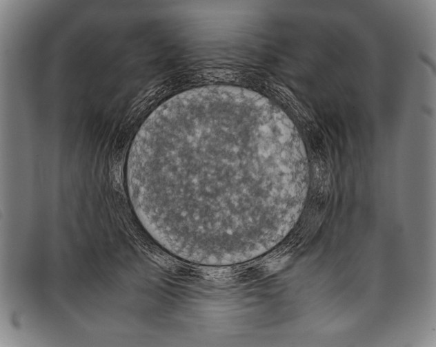 X0000097760705200804041126