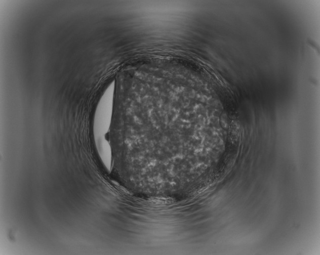 X0000097760707200804041126