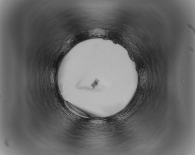 X0000097760708200804041126