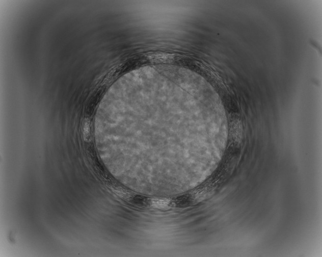 X0000097760709200804041126