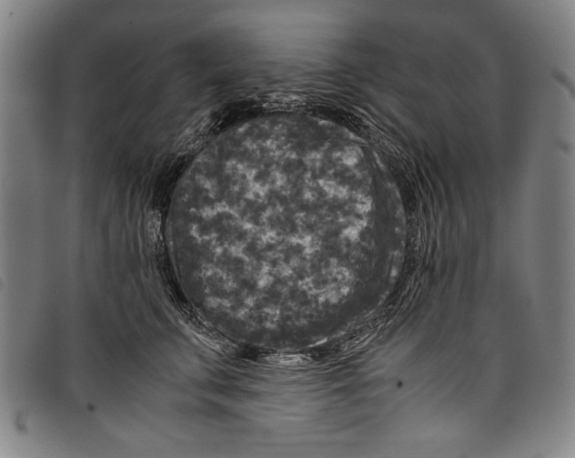 X0000097760711200804041126