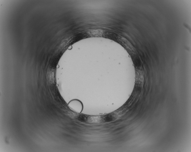 X0000097760717200804041126