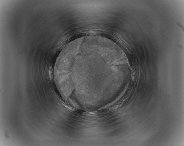 X0000097760718200804041126