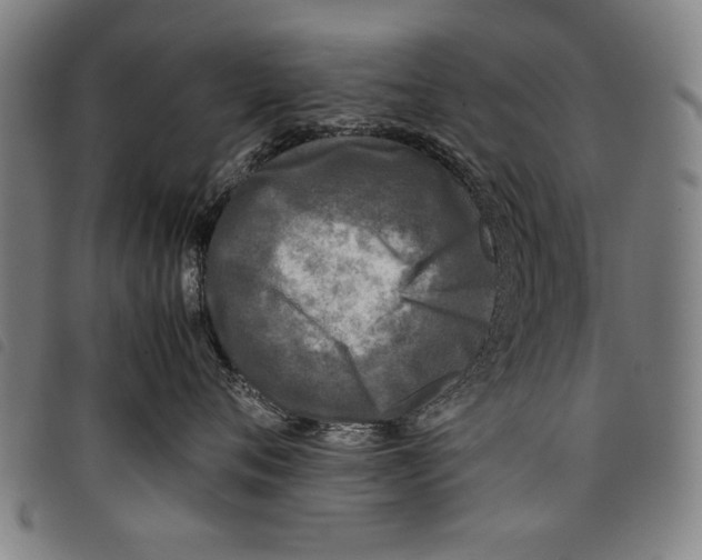 X0000097760720200804041126