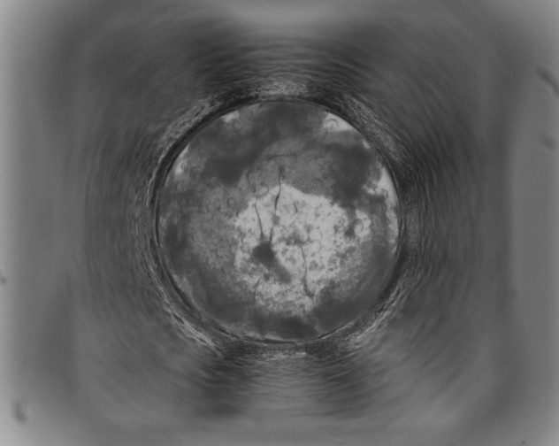 X0000097760721200804041125