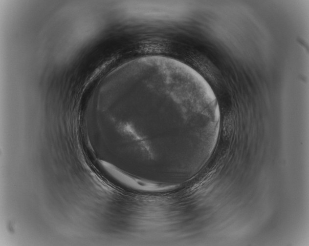 X0000097760722200804041125