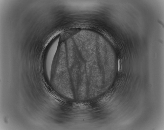 X0000097760723200804041125