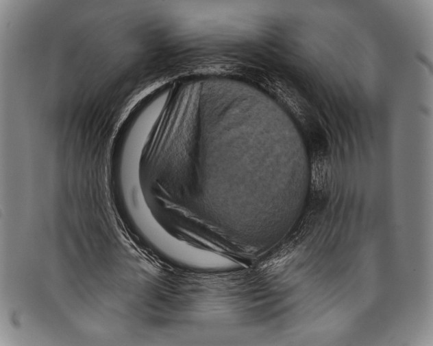 X0000097760724200804041125