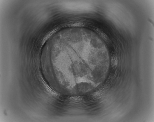 X0000097760725200804041125