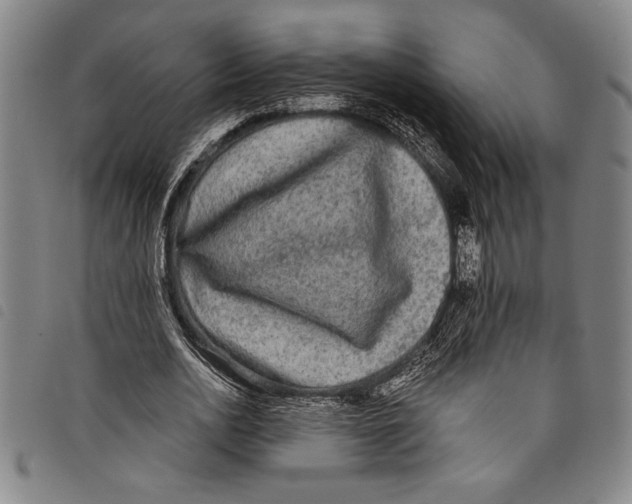 X0000097760726200804041125