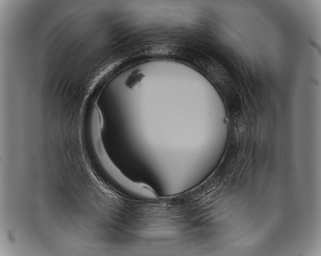 X0000097760728200804041125