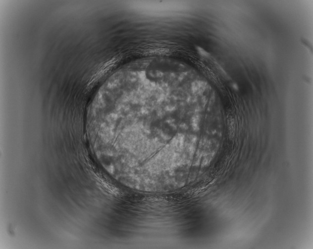 X0000097760729200804041125