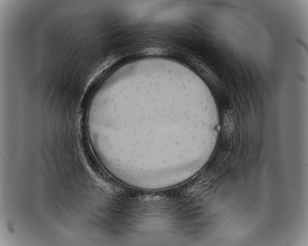 X0000097760730200804041125