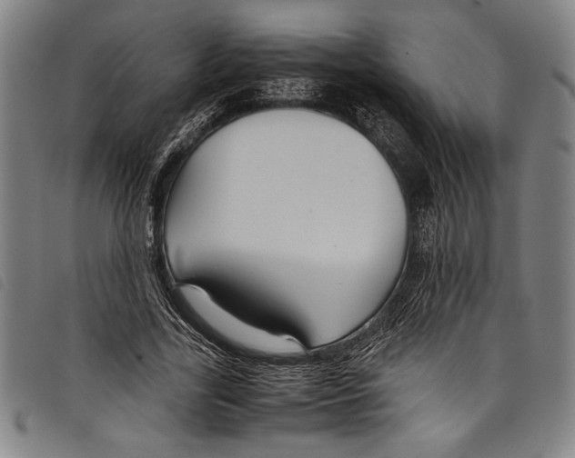 X0000097760731200804041125