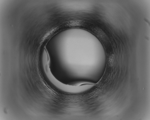 X0000097760732200804041125