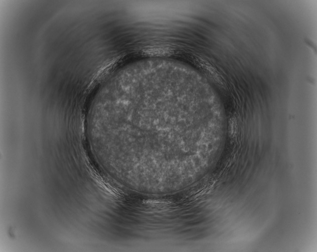 X0000097760733200804041125