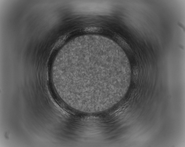 X0000097760734200804041125