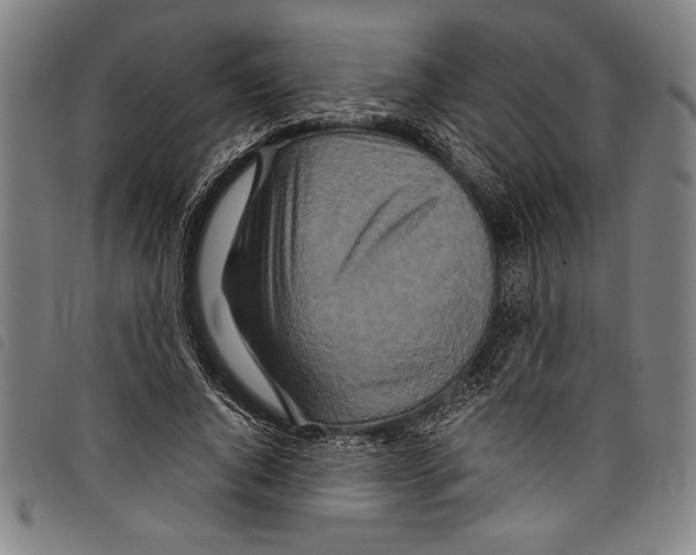 X0000097760736200804041125