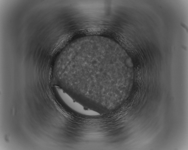 X0000097760742200804041125