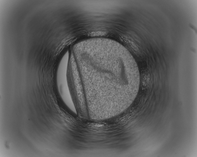 X0000097760743200804041125