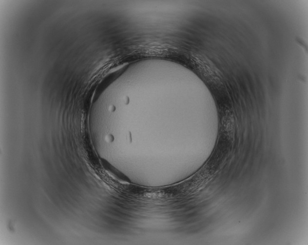 X0000097760744200804041125