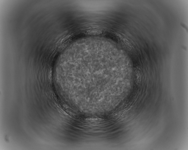 X0000097760745200804041125