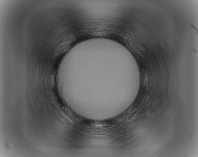 X0000097760746200804041125