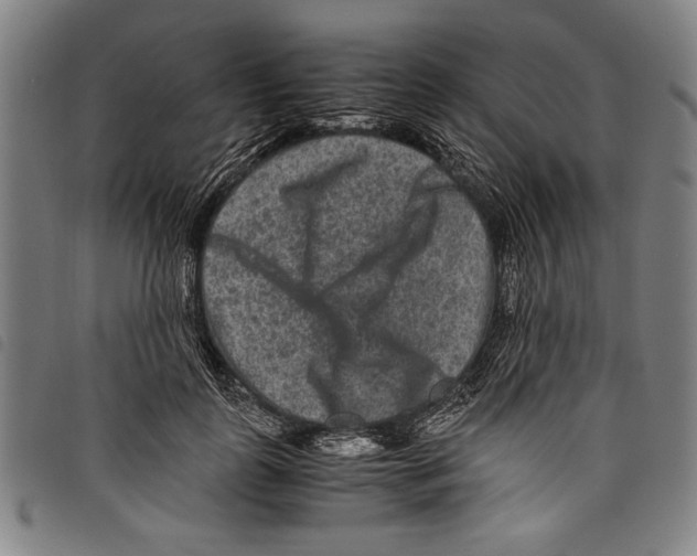 X0000097760747200804041125