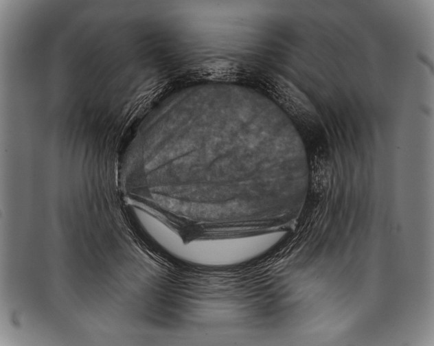 X0000097760748200804041125