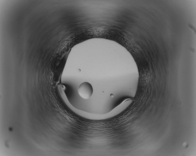 X0000097760750200804041125