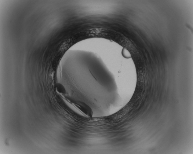 X0000097760754200804041125