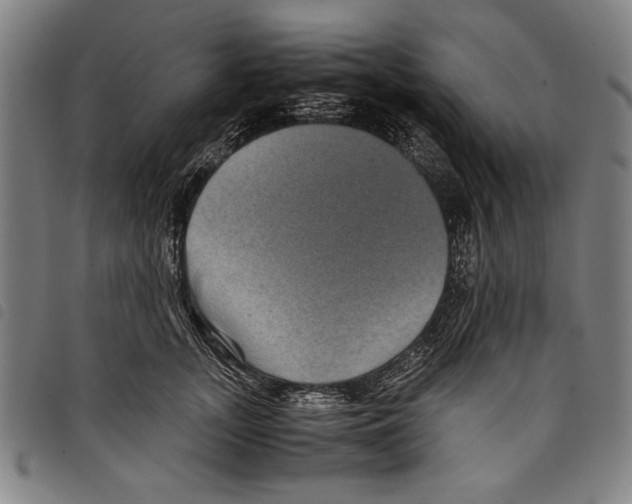 X0000097760755200804041125