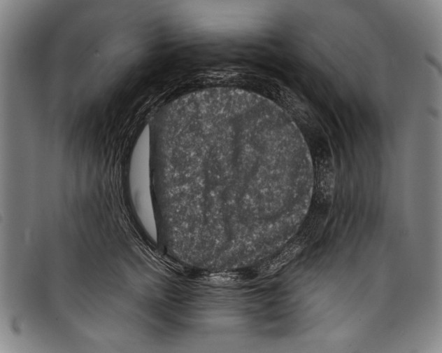 X0000097760758200804041125