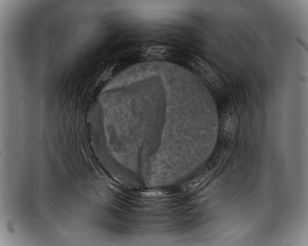 X0000097760759200804041125