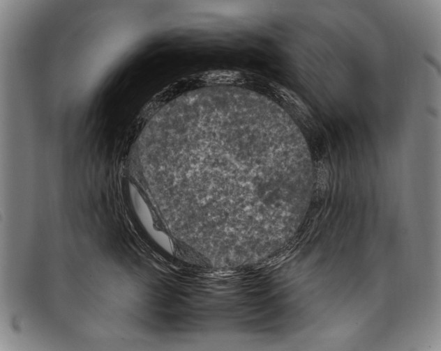 X0000097760761200804041125