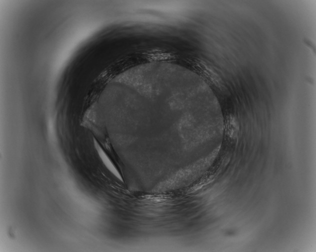 X0000097760763200804041125